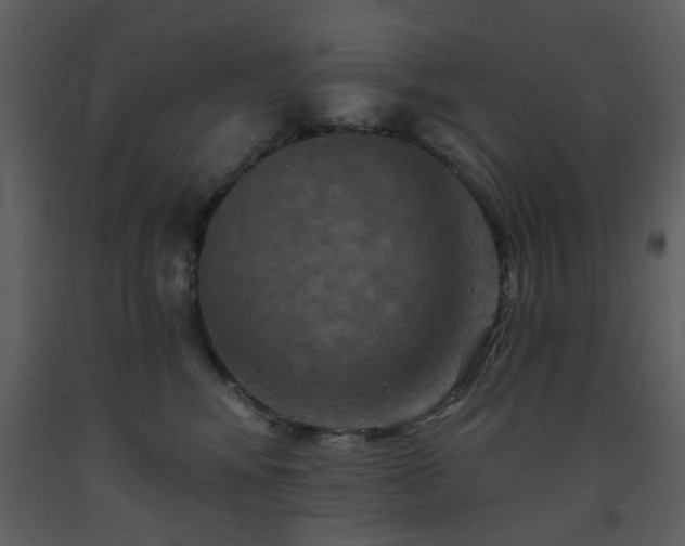 X0000093580424200710221507