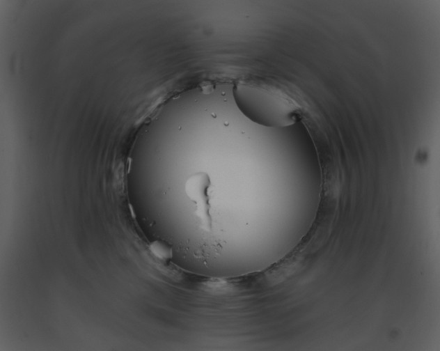 X0000093580425200710221507