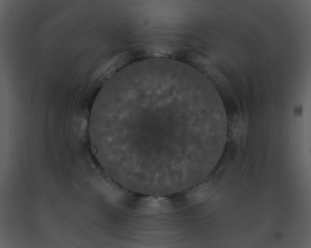X0000093580427200710221507