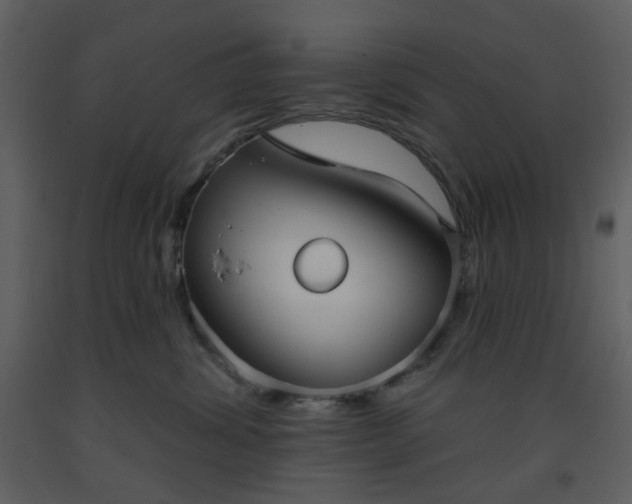 X0000093580428200710221507