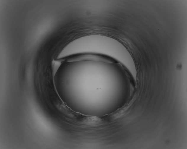 X0000093580429200710221507