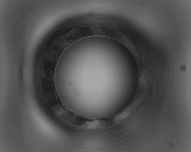 X0000093580430200710221507