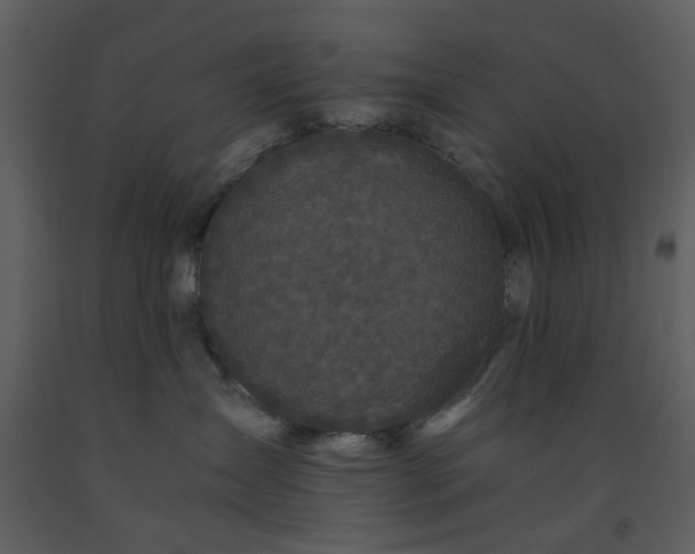 X0000093580431200710221507