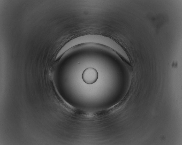 X0000093580432200710221507