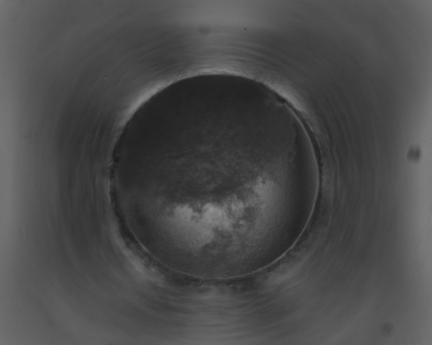 X0000093580434200710221506