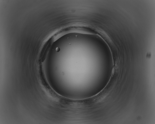 X0000093580436200710221506