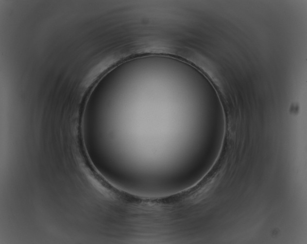 X0000093580437200710221506