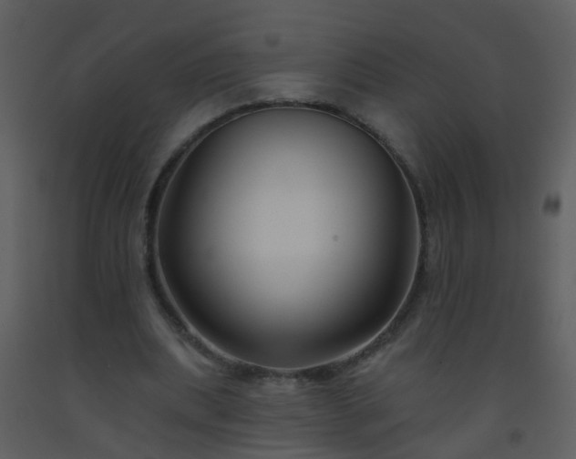 X0000093580439200710221506