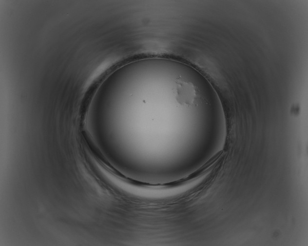 X0000093580440200710221506