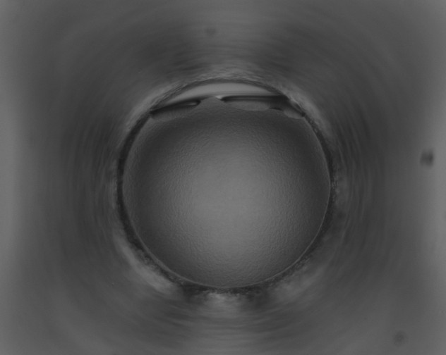 X0000093580442200710221506