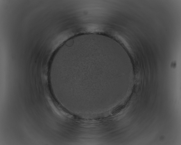 X0000093580443200710221506
