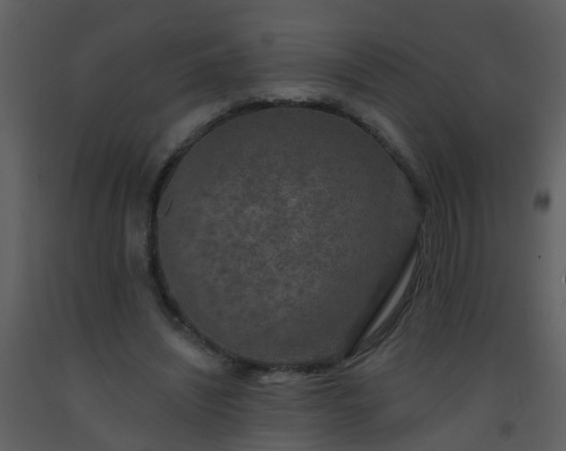 X0000093580444200710221506