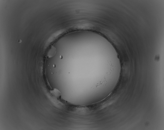 X0000093580446200710221506