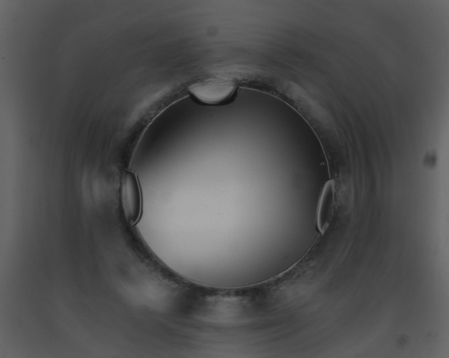 X0000093580448200710221506
