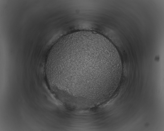 X0000093580449200710221506