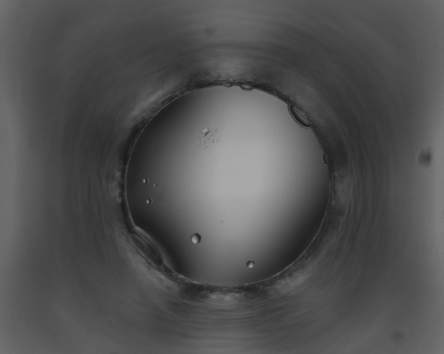 X0000093580450200710221507