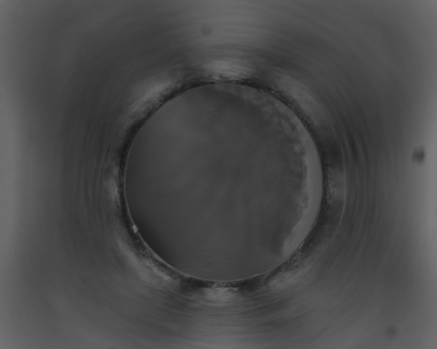 X0000093580451200710221507