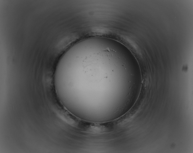 X0000093580455200710221507