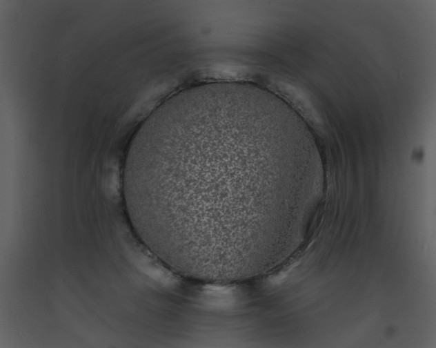 X0000093580457200710221507