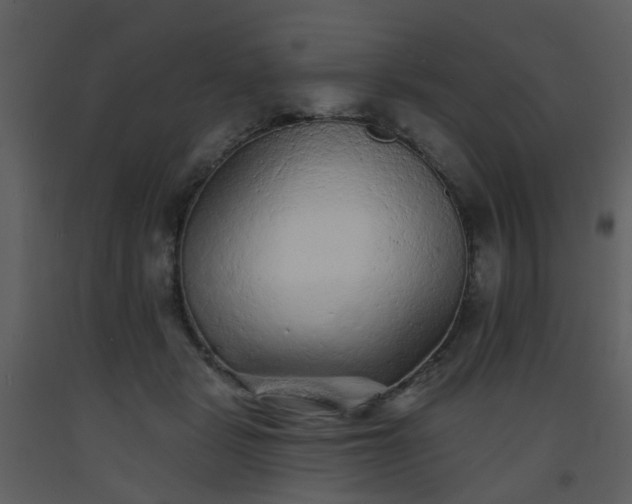 X0000093580461200710221507