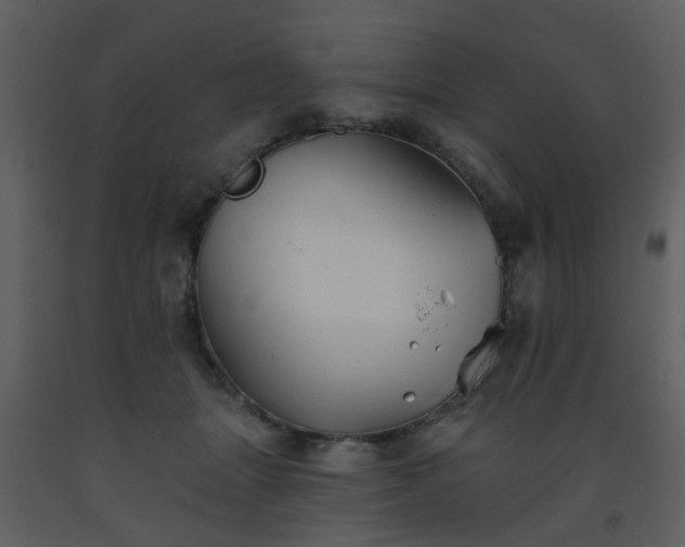 X0000093580463200710221507