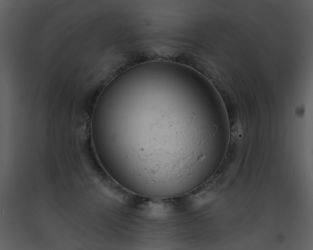 X0000093580464200710221507