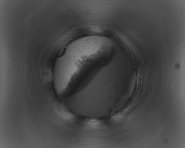 X0000093580467200710221507