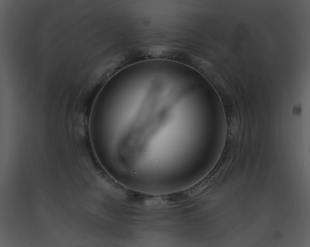 X0000093580470200710221507