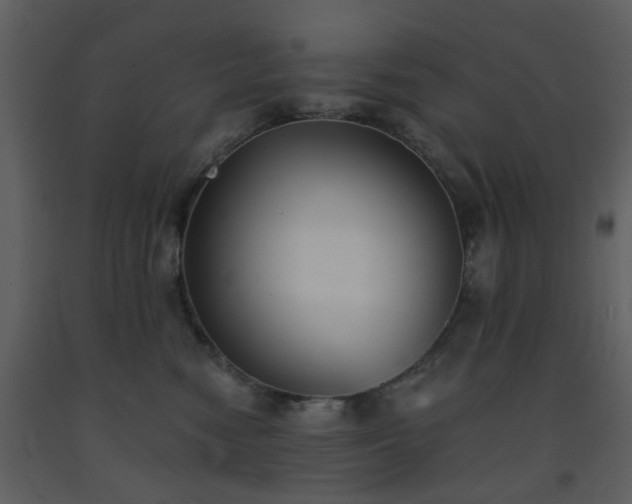 X0000093580474200710221507