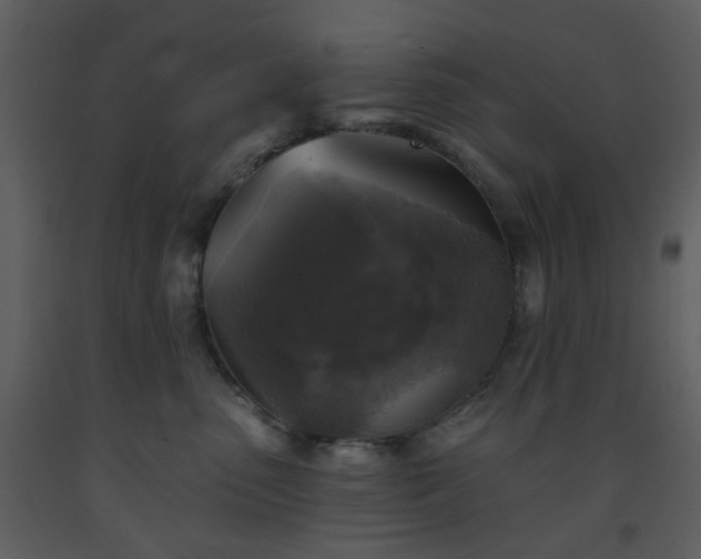 X0000093580475200710221507