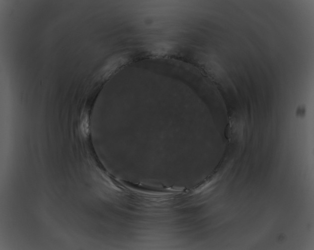 X0000093580479200710221507