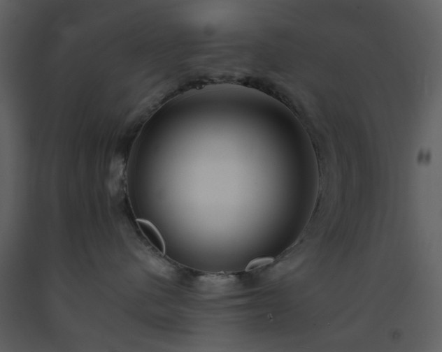 X0000093580480200710221507
