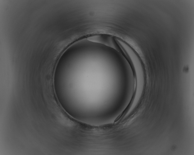 X0000093580481200710221506