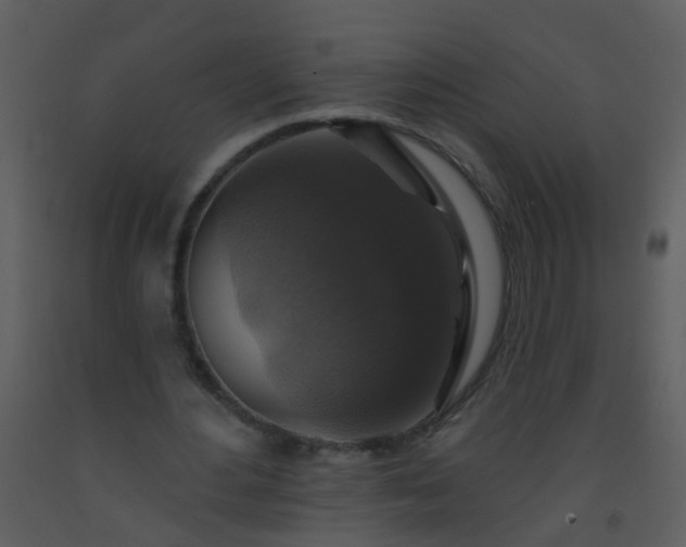 X0000093580484200710221506