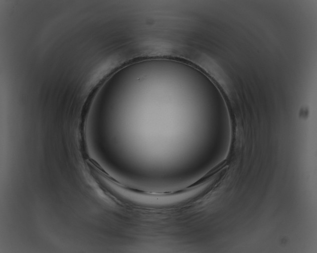 X0000093580485200710221506