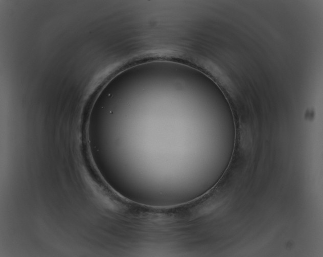 X0000093580486200710221506