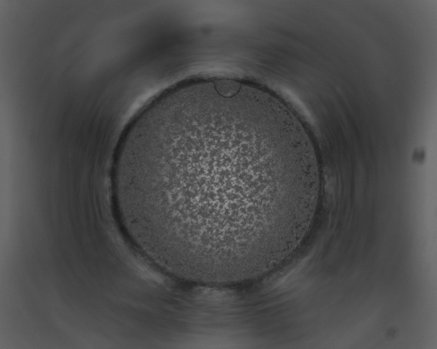 X0000093580487200710221506