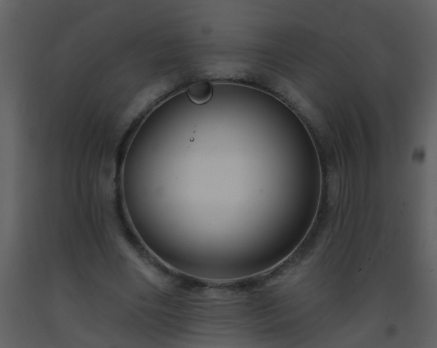 X0000093580490200710221506