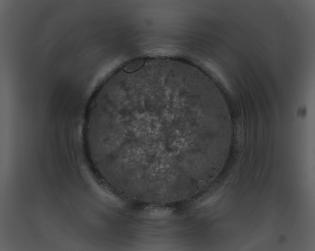X0000093580491200710221506