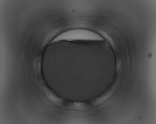 X0000093580493200710221506