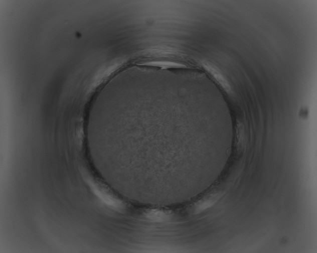 X0000093580494200710221506