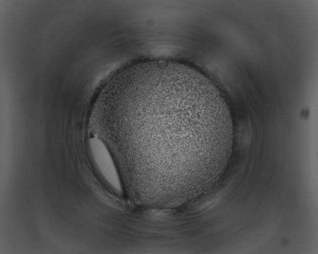X0000093580495200710221506