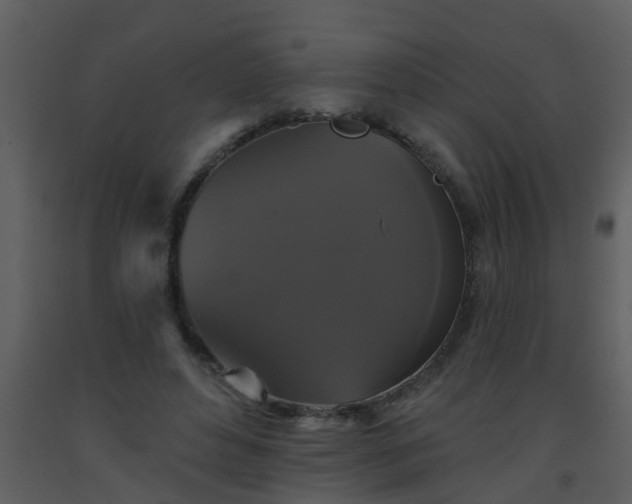 X0000093580496200710221506