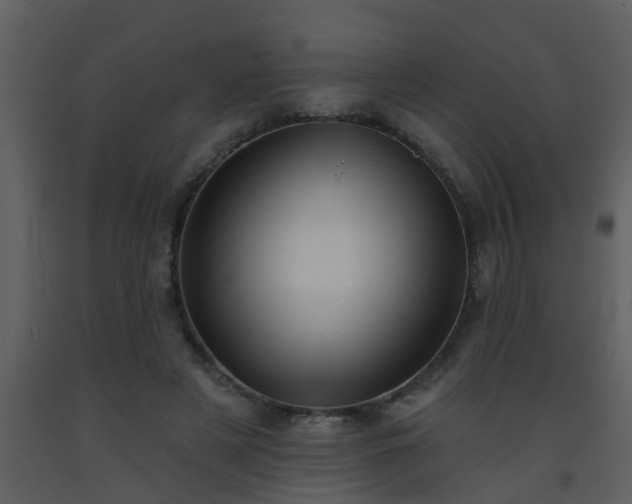 X0000093580497200710221506