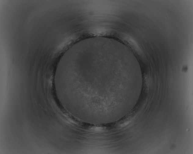 X0000093580499200710221506