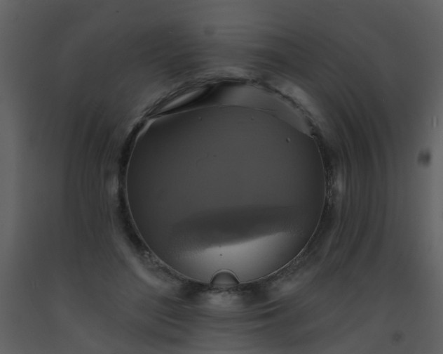 X0000093580500200710221506