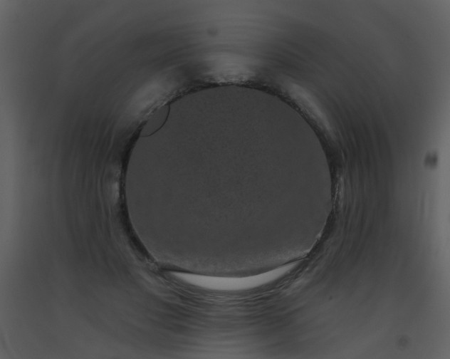 X0000093580501200710221506
