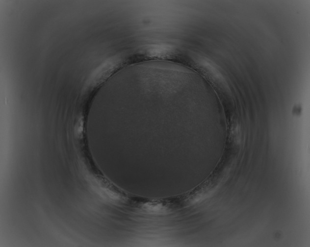 X0000093580502200710221506
