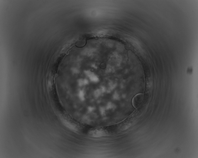 X0000093580503200710221506