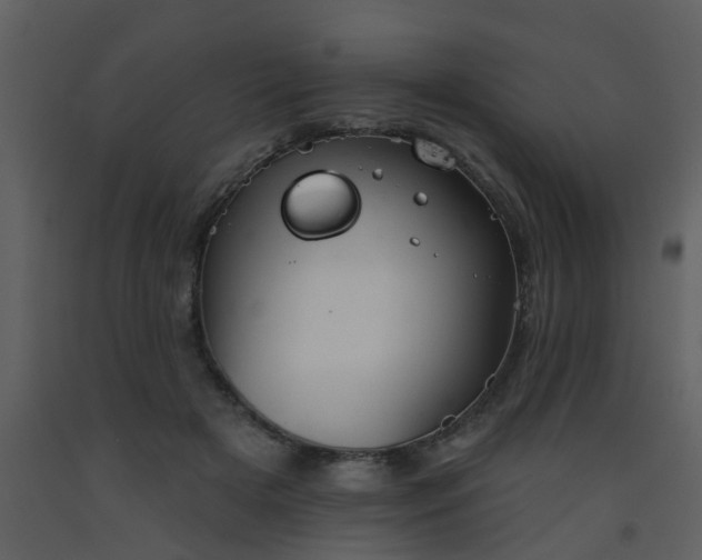X0000093580505200710221506